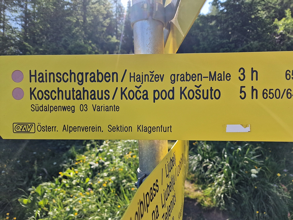 Slika je vidna v Google Chromu.