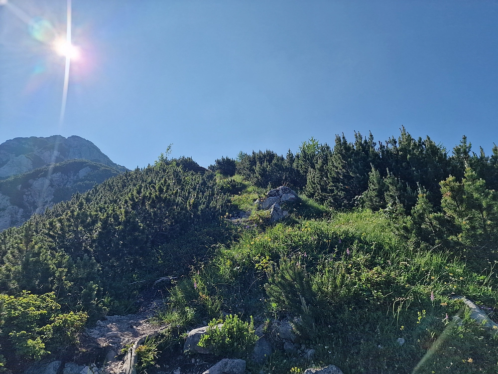 Slika je vidna v Google Chromu.