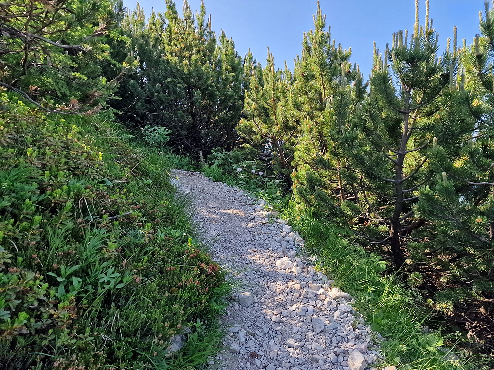 Slika je vidna v Google Chromu.