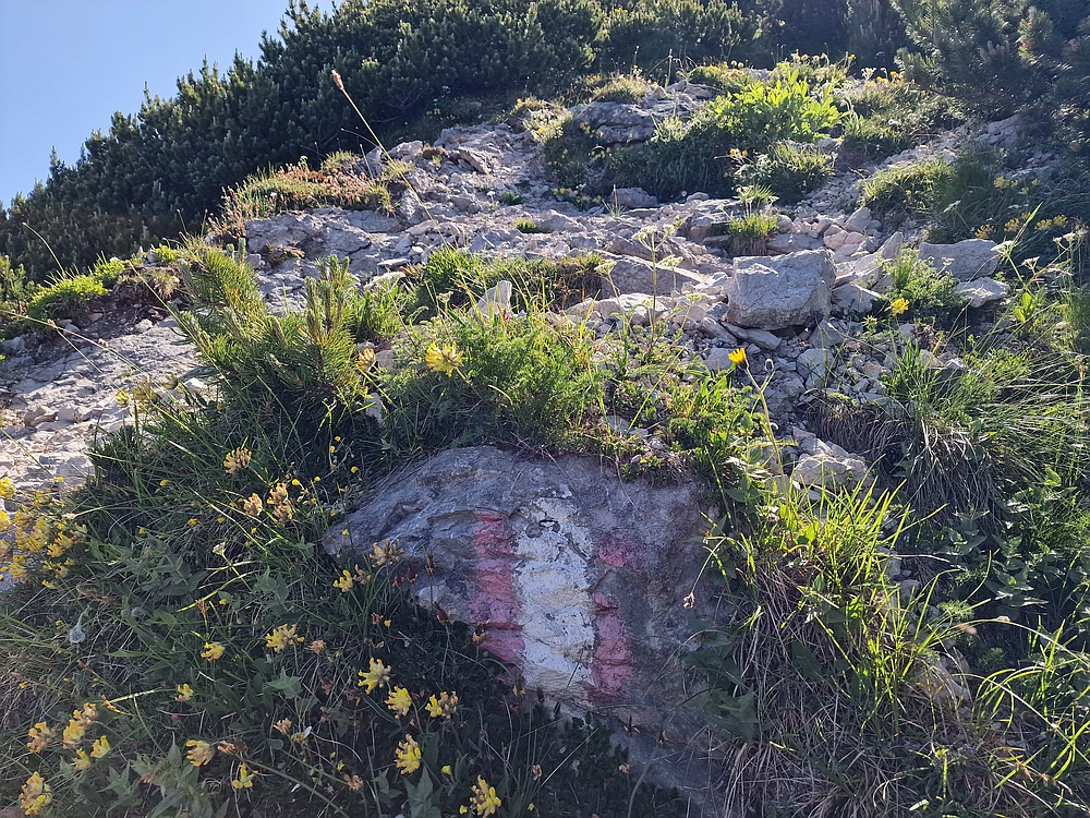 Slika je vidna v Google Chromu.