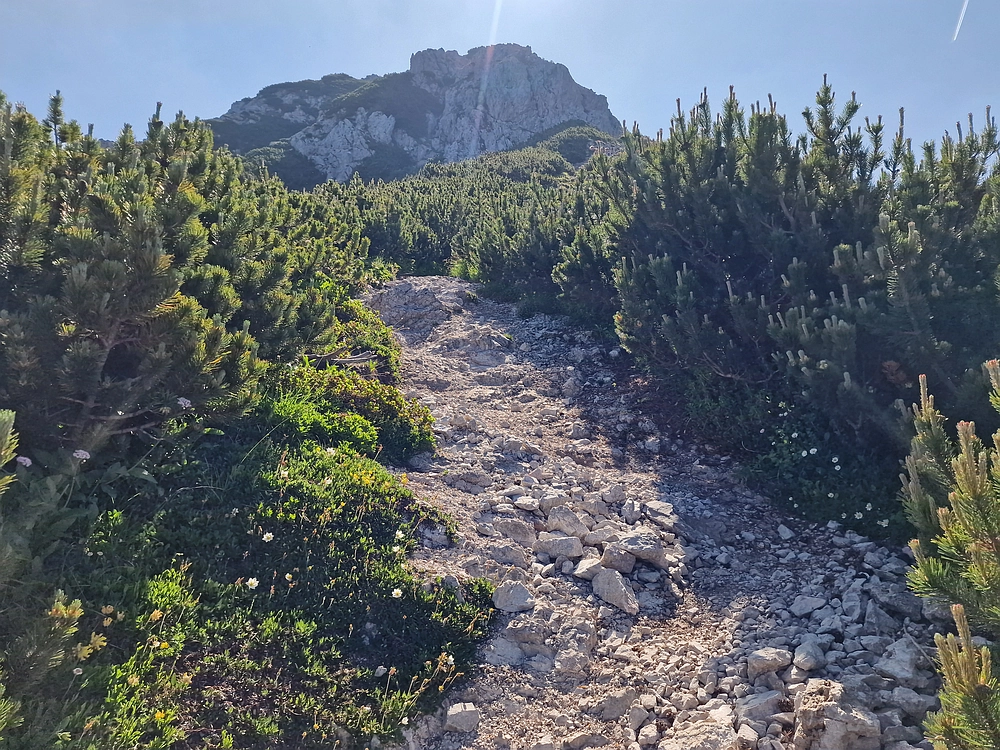 Slika je vidna v Google Chromu.