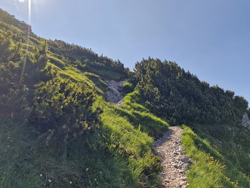 Slika je vidna v Google Chromu.