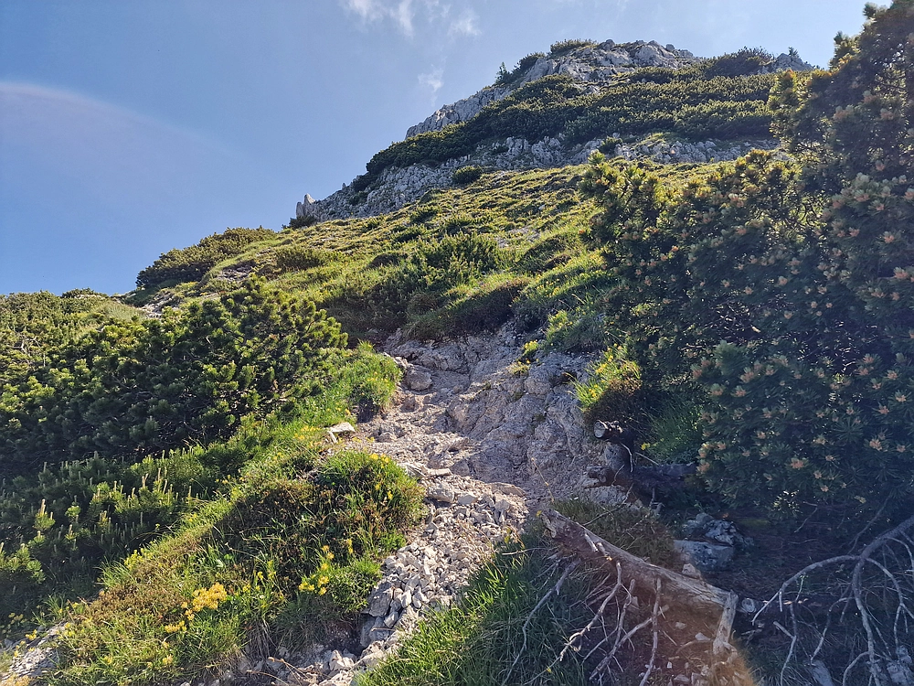 Slika je vidna v Google Chromu.