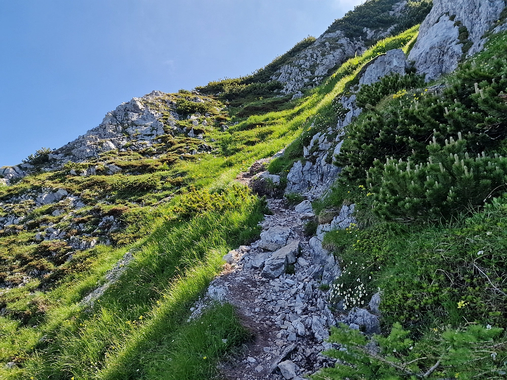 Slika je vidna v Google Chromu.