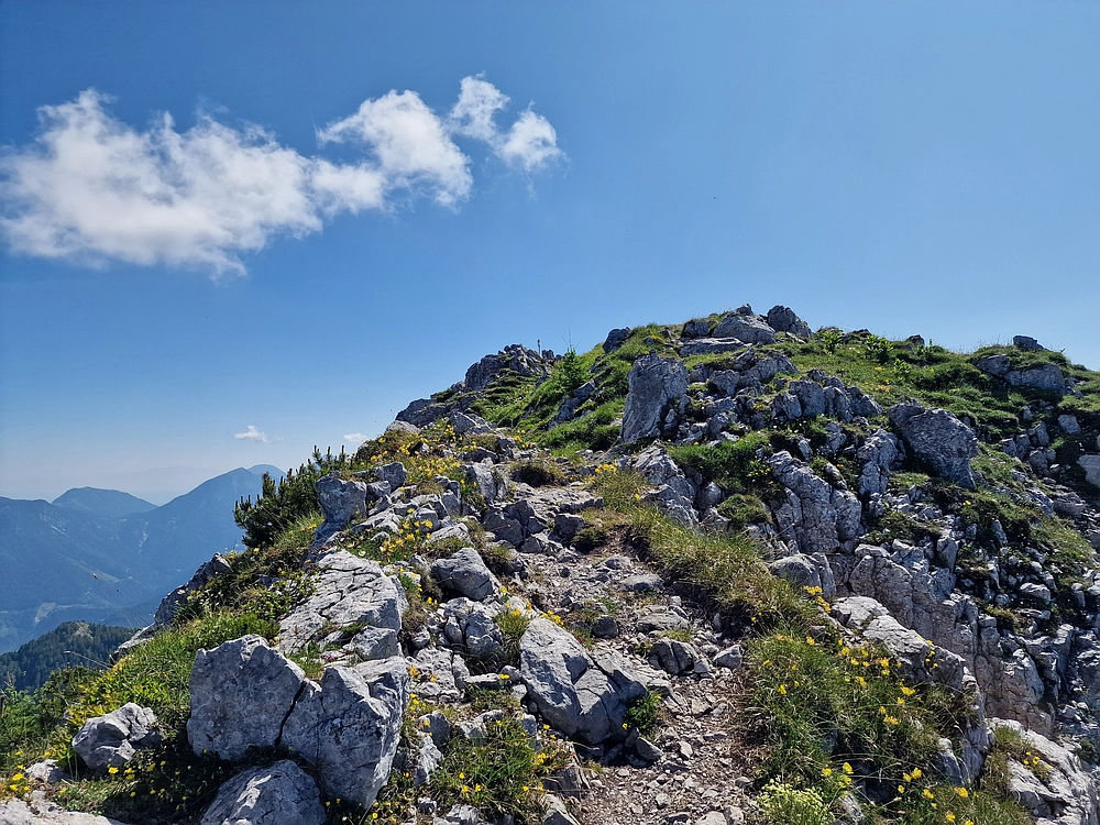 Slika je vidna v Google Chromu.