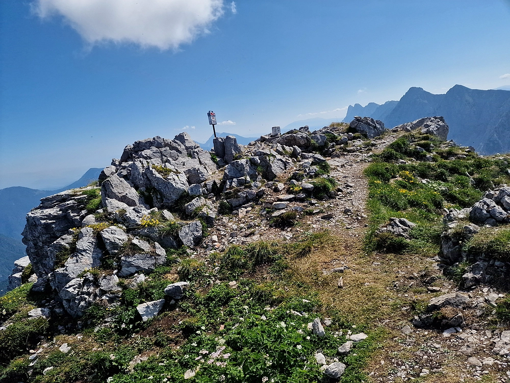 Slika je vidna v Google Chromu.