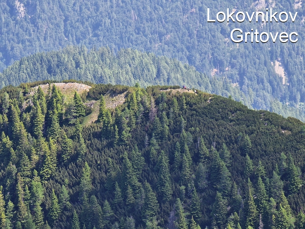 Slika je vidna v Google Chromu.