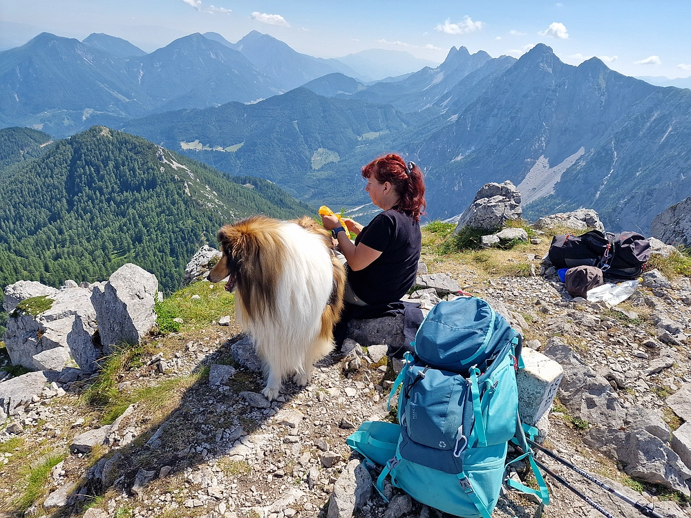 Slika je vidna v Google Chromu.