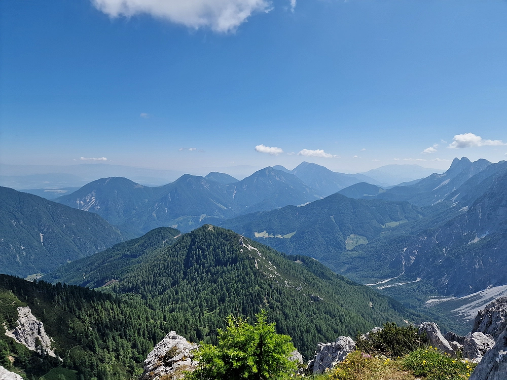 Slika je vidna v Google Chromu.