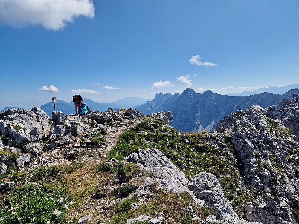 Slika je vidna v Google Chromu.