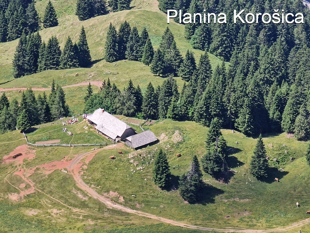 Slika je vidna v Google Chromu.