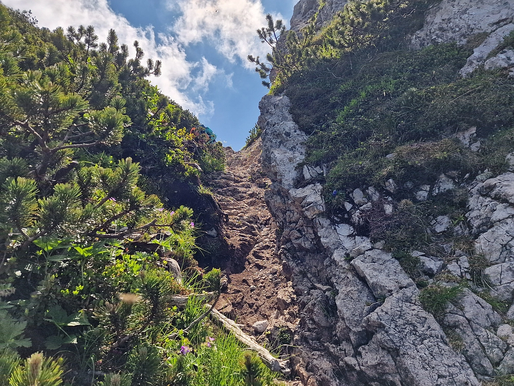 Slika je vidna v Google Chromu.