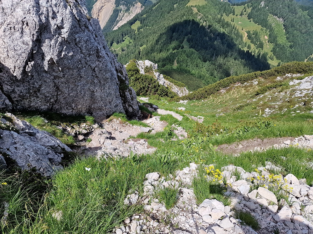Slika je vidna v Google Chromu.