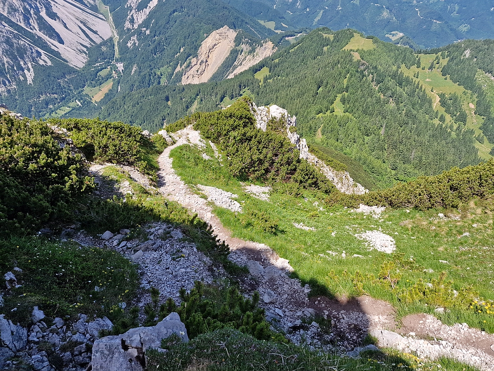 Slika je vidna v Google Chromu.