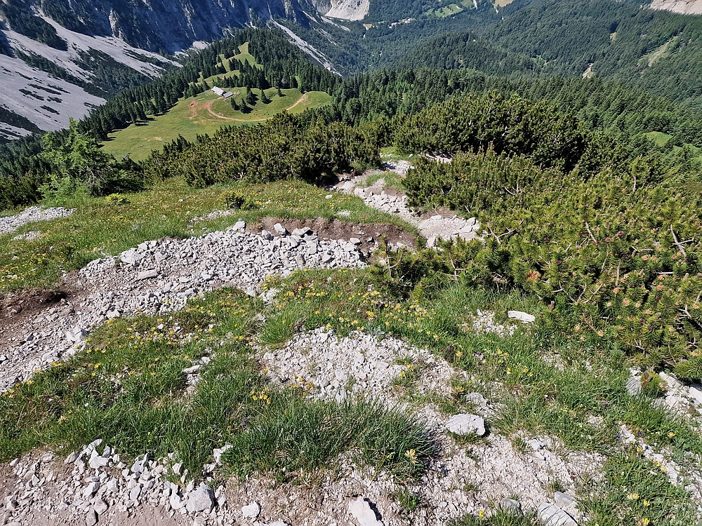Slika je vidna v Google Chromu.