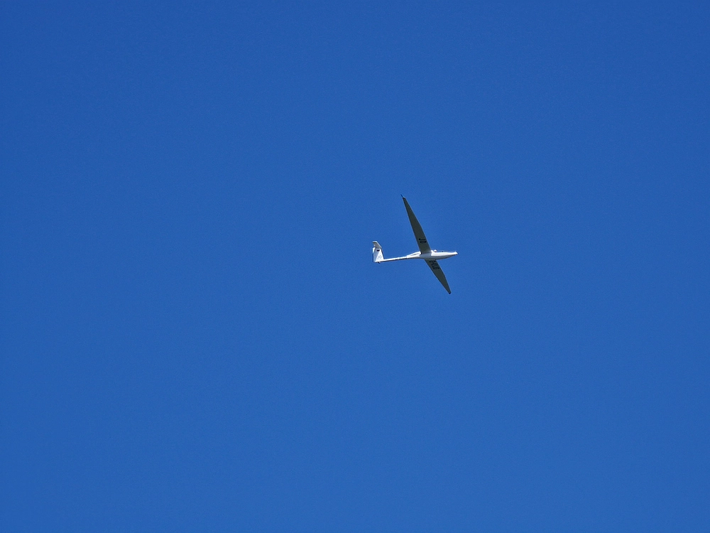 Slika je vidna v Google Chromu.