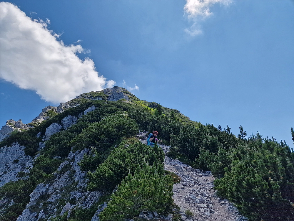 Slika je vidna v Google Chromu.