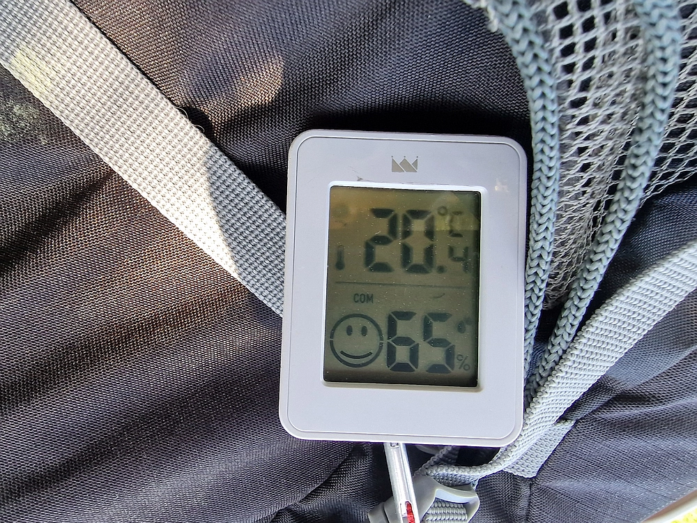 Slika je vidna v Google Chromu.