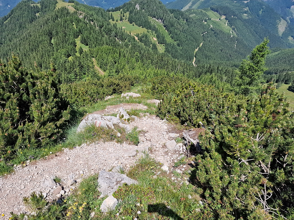 Slika je vidna v Google Chromu.