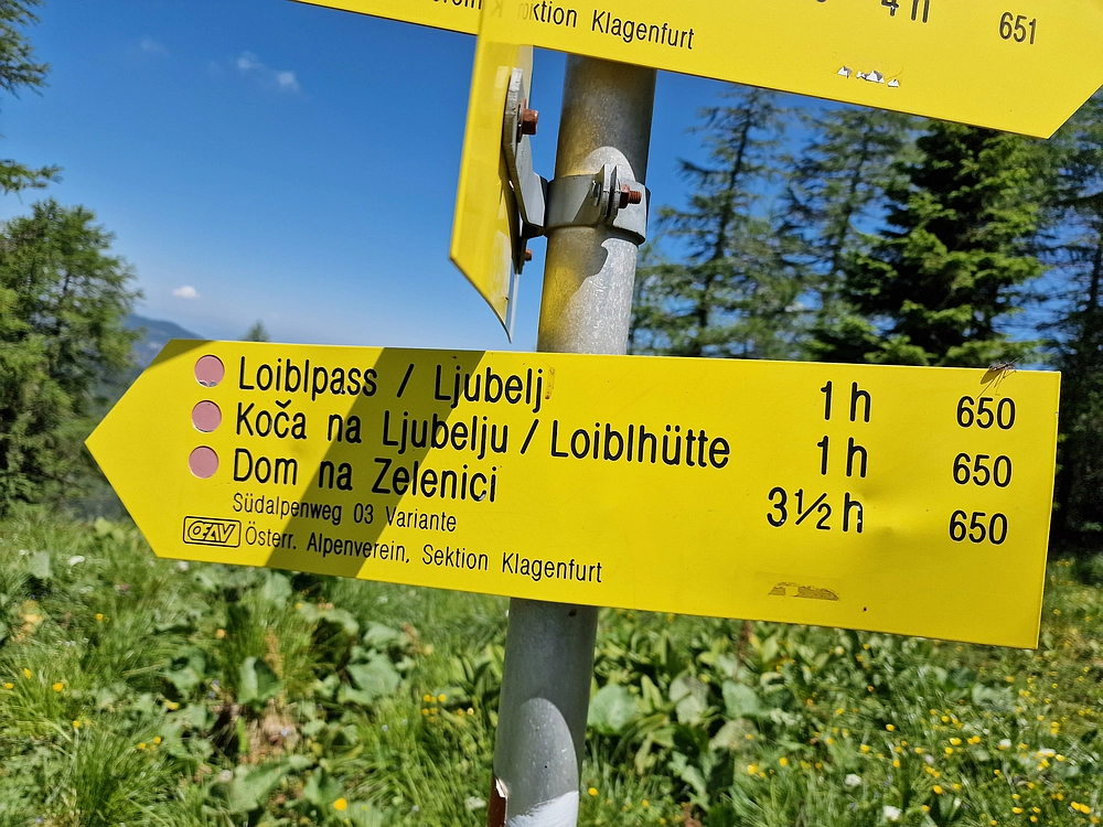 Slika je vidna v Google Chromu.