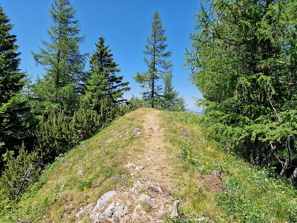 Slika je vidna v Google Chromu.