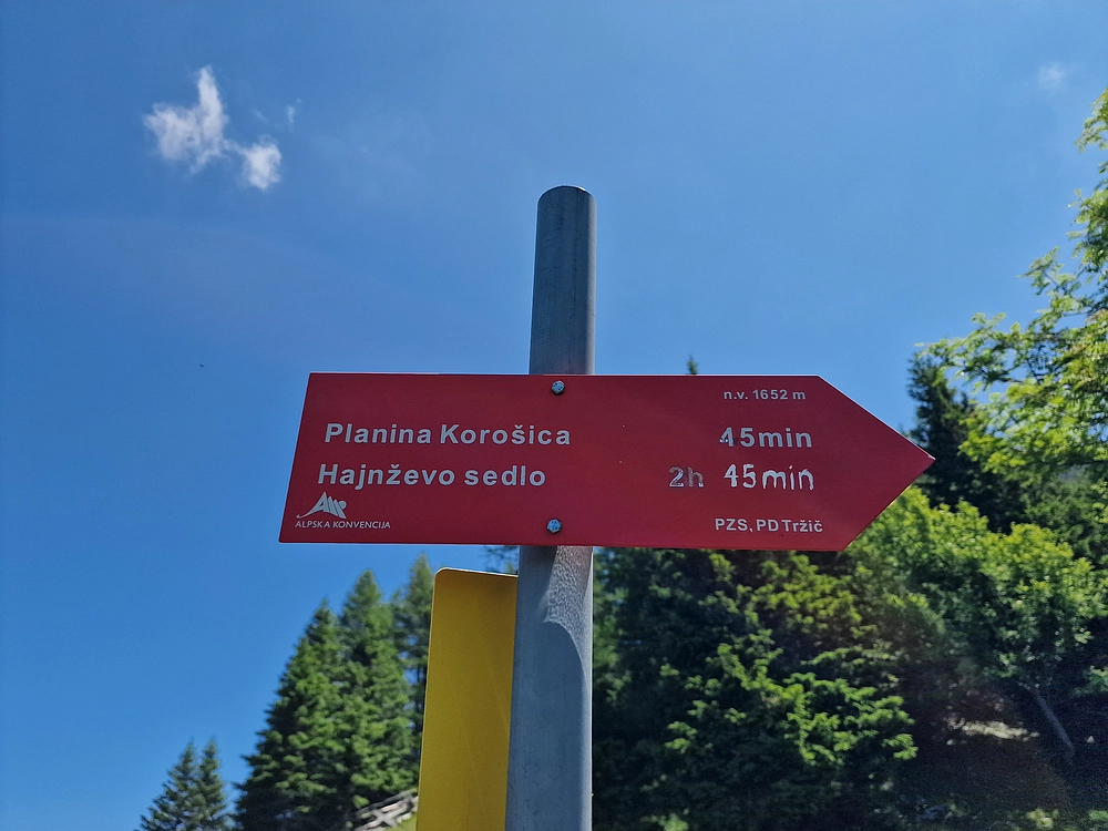 Slika je vidna v Google Chromu.