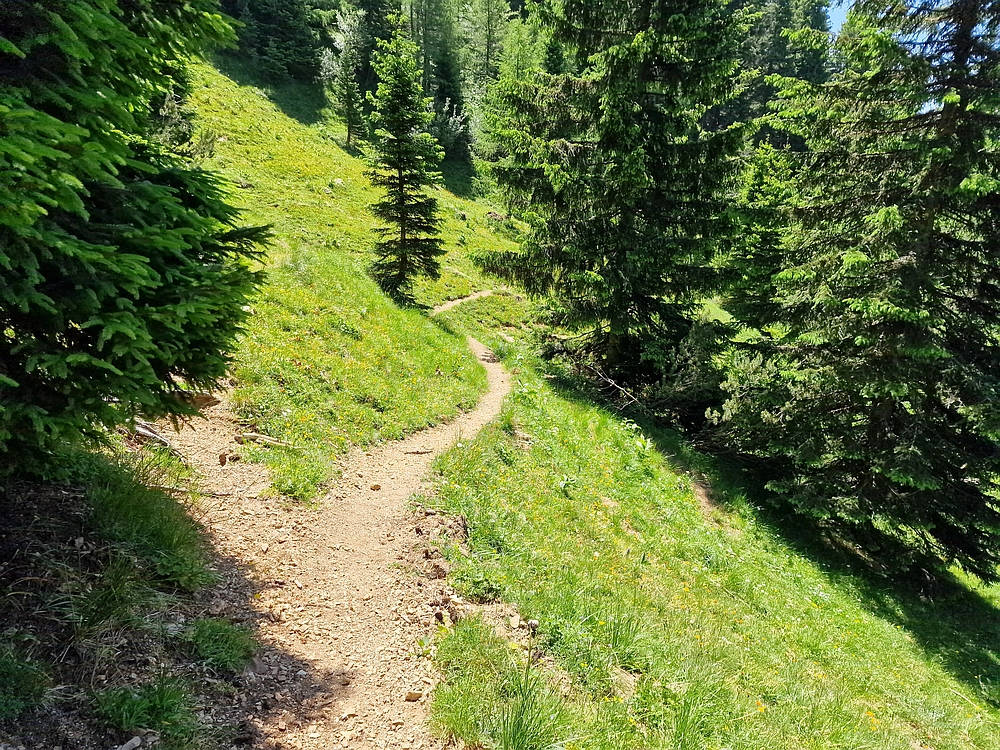 Slika je vidna v Google Chromu.