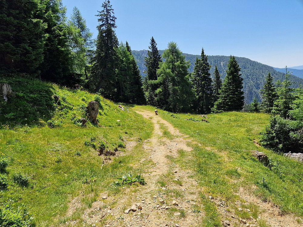 Slika je vidna v Google Chromu.