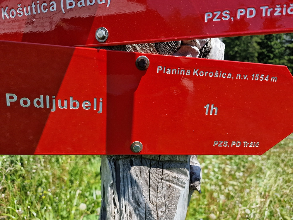 Slika je vidna v Google Chromu.