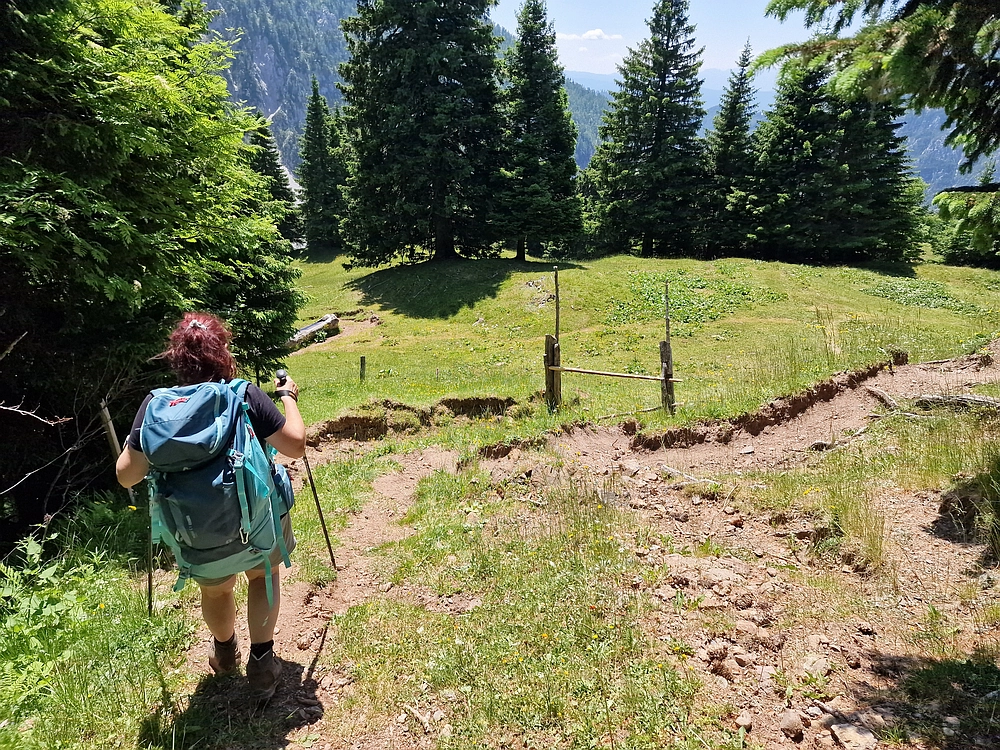 Slika je vidna v Google Chromu.