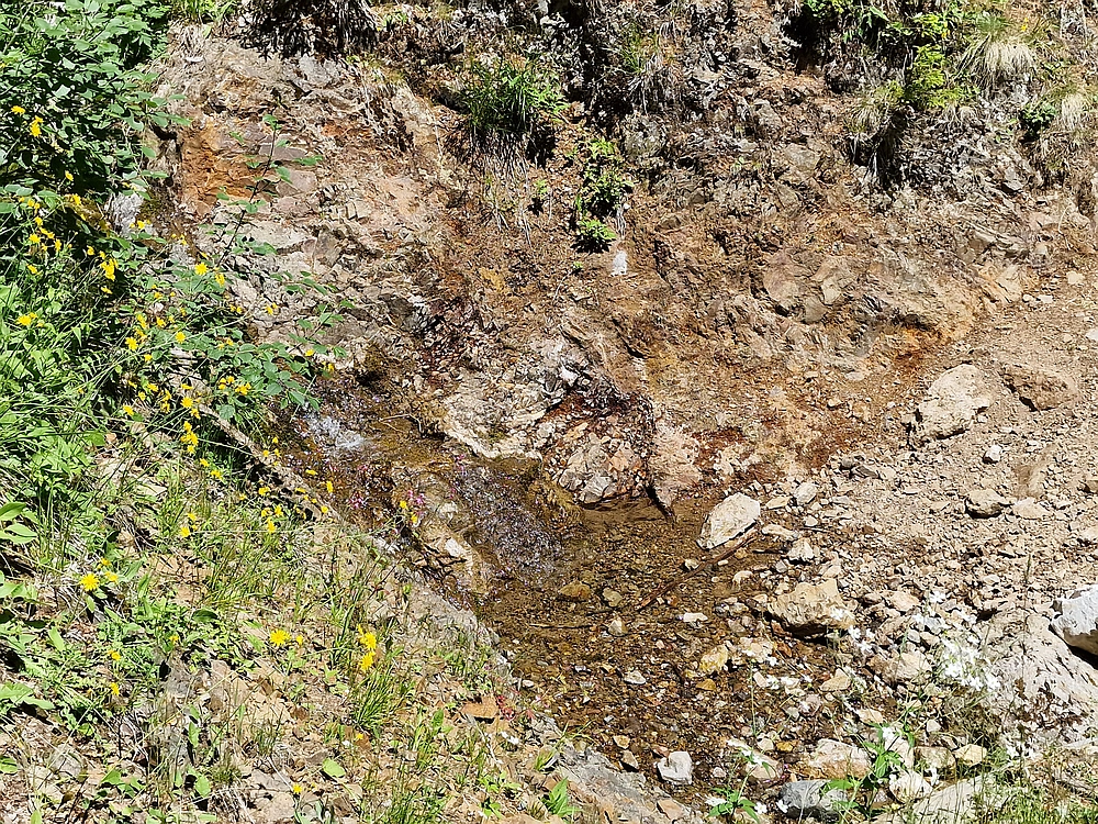 Slika je vidna v Google Chromu.