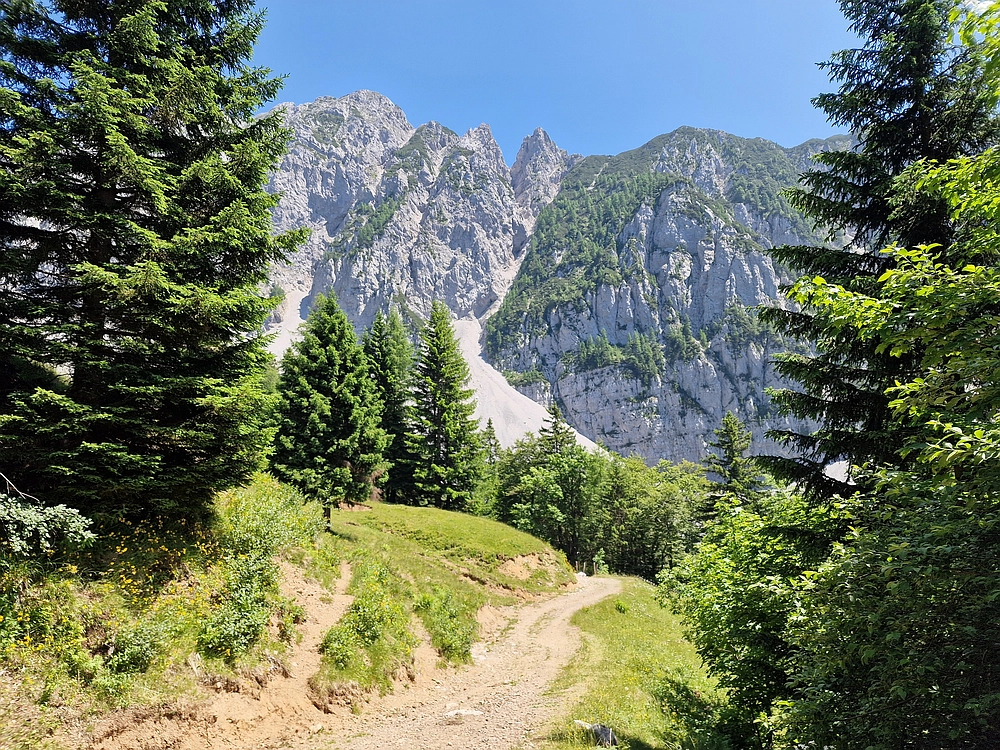 Slika je vidna v Google Chromu.