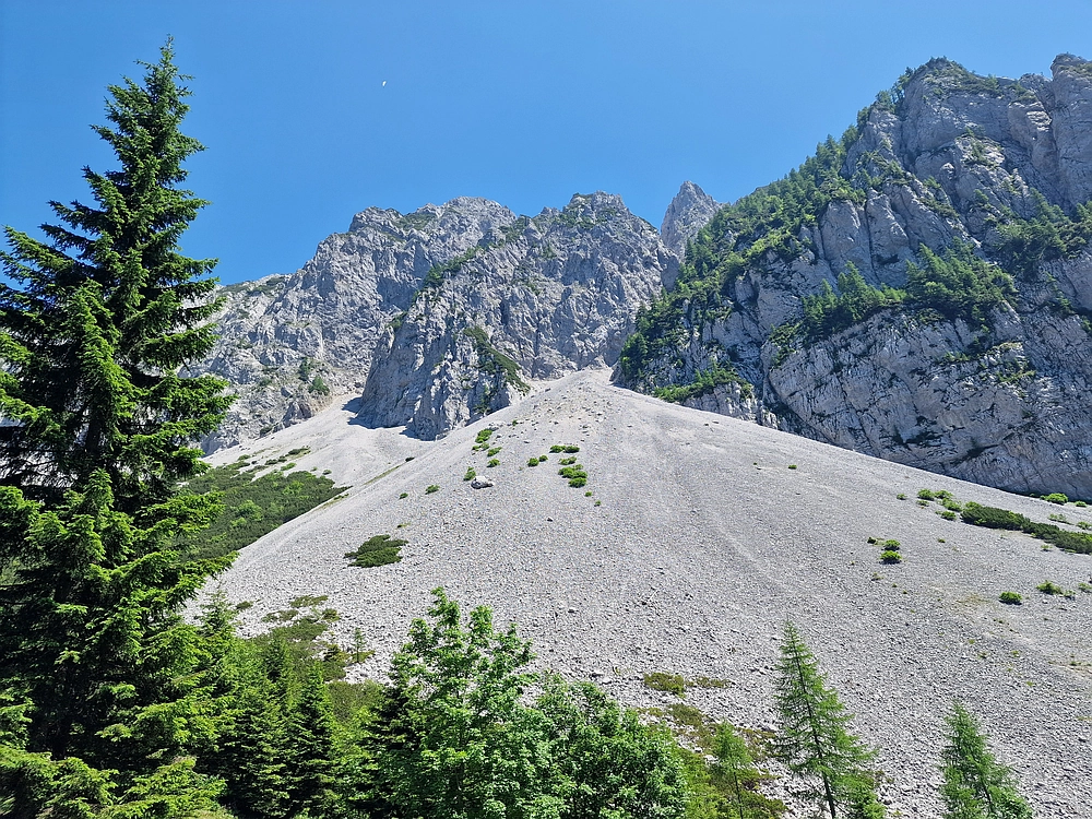 Slika je vidna v Google Chromu.