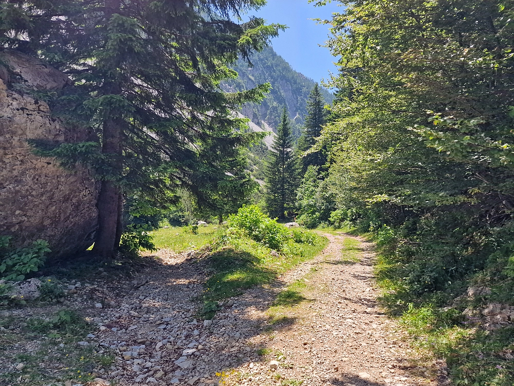 Slika je vidna v Google Chromu.