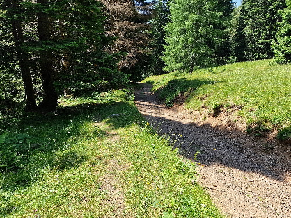 Slika je vidna v Google Chromu.