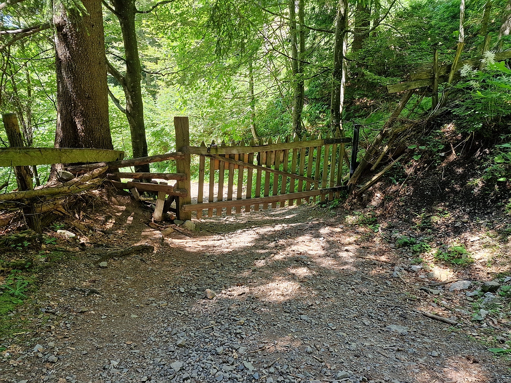 Slika je vidna v Google Chromu.