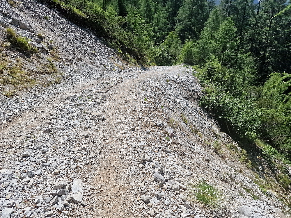 Slika je vidna v Google Chromu.