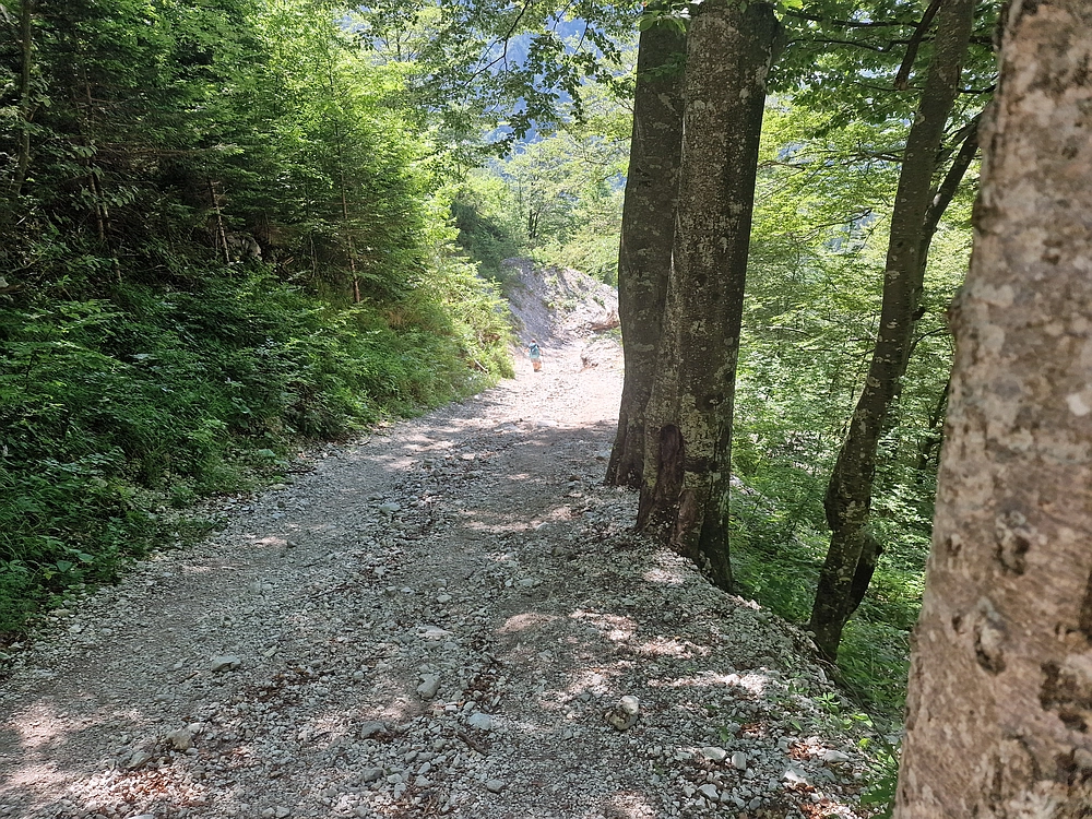 Slika je vidna v Google Chromu.