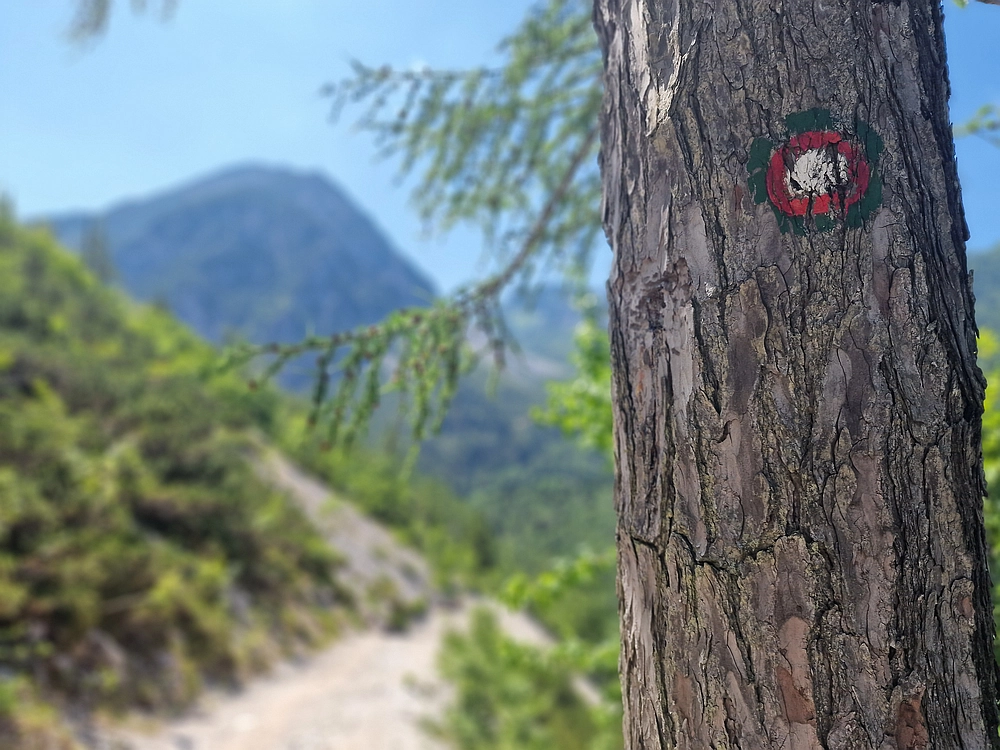 Slika je vidna v Google Chromu.