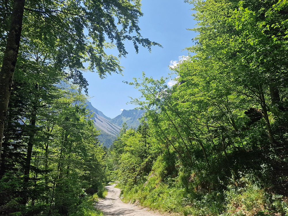 Slika je vidna v Google Chromu.