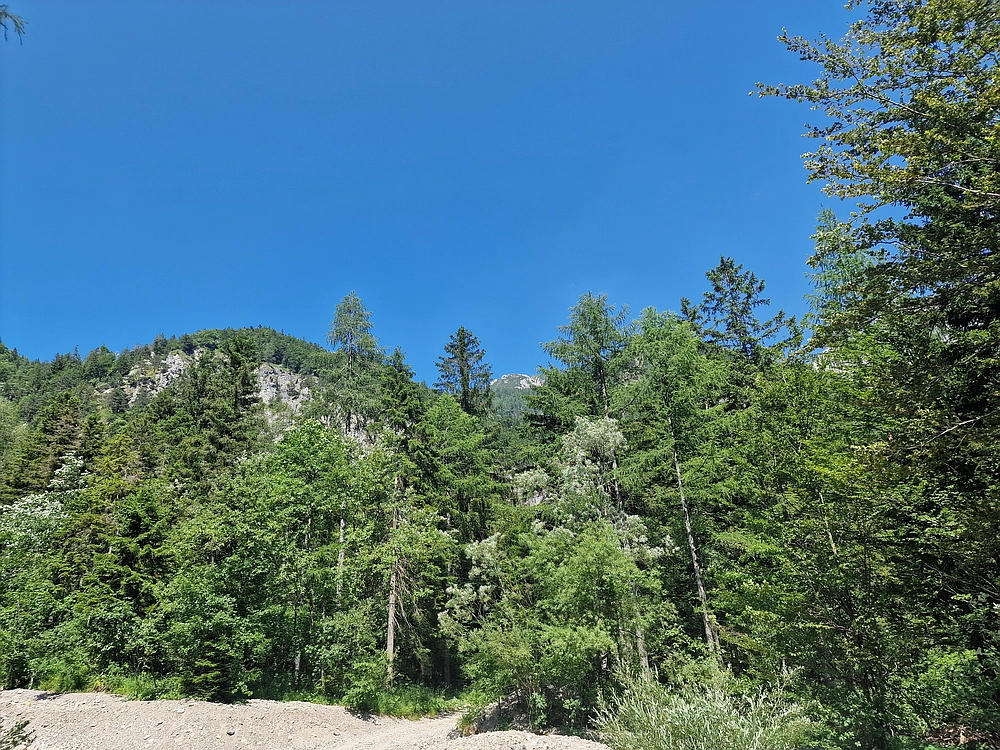 Slika je vidna v Google Chromu.