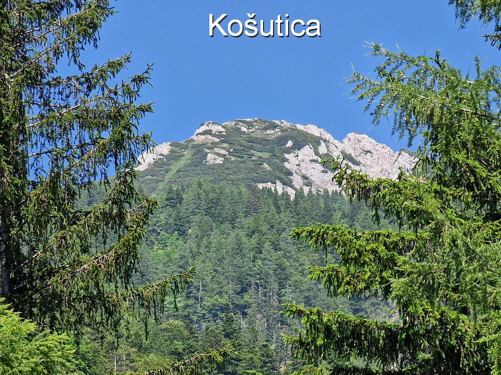 Slika je vidna v Google Chromu.