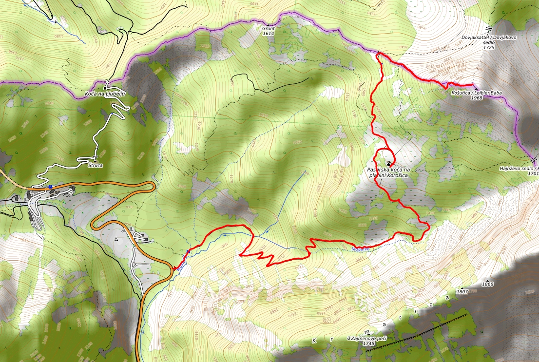 Slika je vidna v Google Chromu.