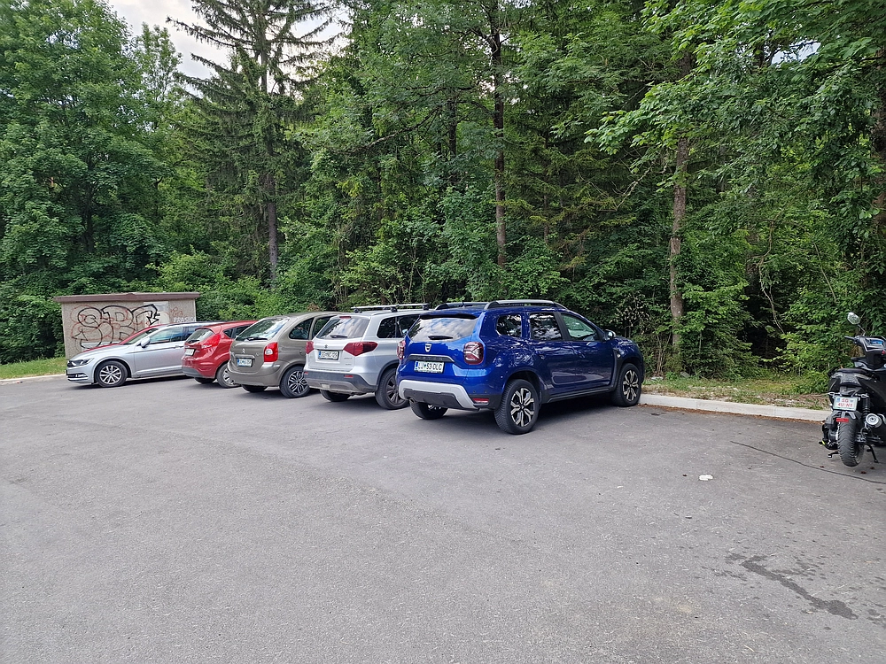 Slika je vidna v Google Chromu.