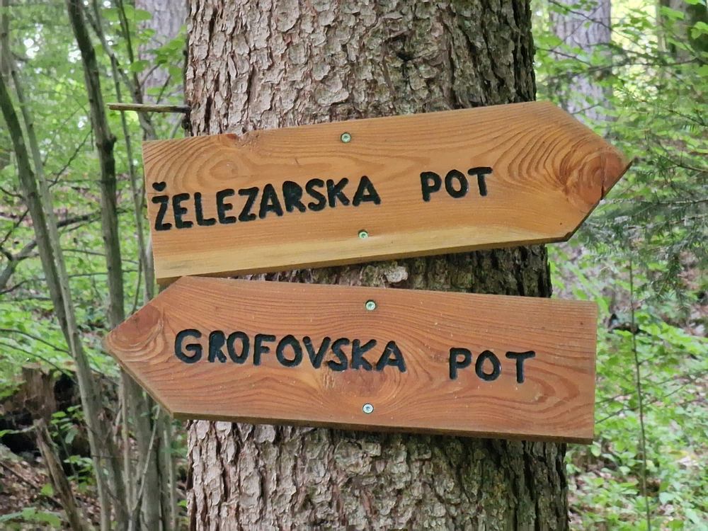 Slika je vidna v Google Chromu.