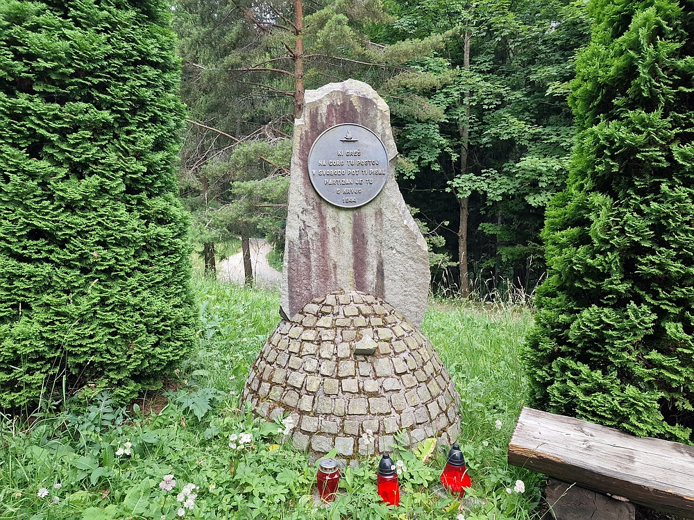 Slika je vidna v Google Chromu.