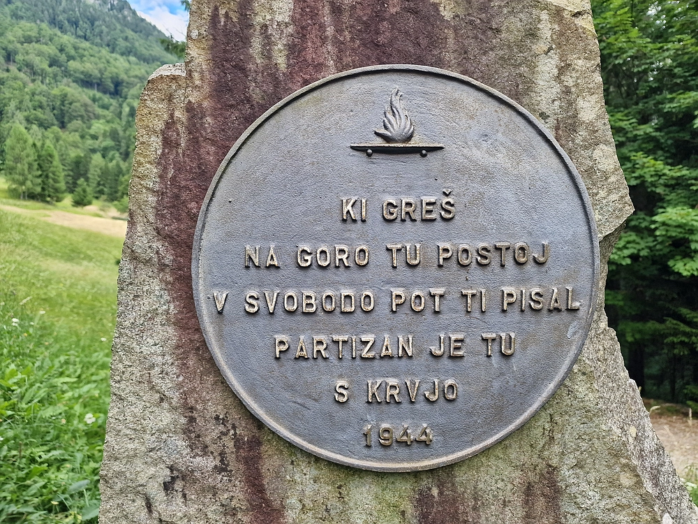 Slika je vidna v Google Chromu.