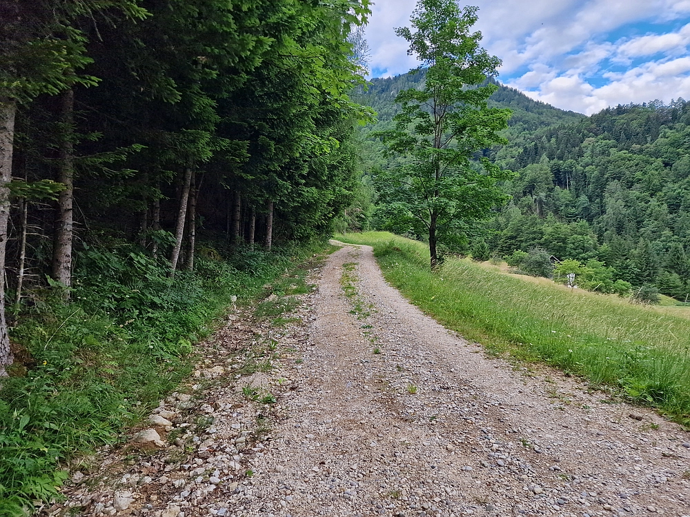 Slika je vidna v Google Chromu.