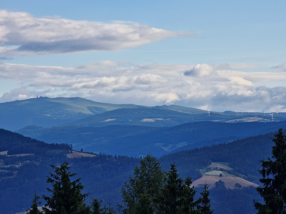 Slika je vidna v Google Chromu.
