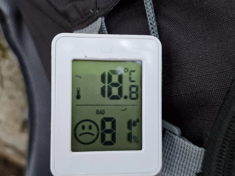 Slika je vidna v Google Chromu.